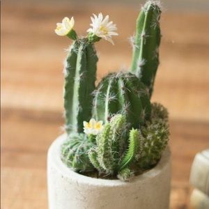 Bundle 2 for 10% off